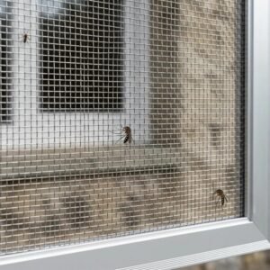 stainless steel mesh